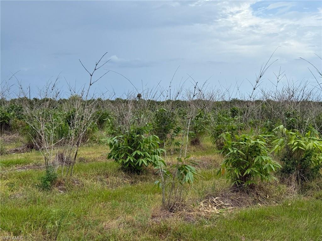 GERBER GROVES SEC 1 - Land