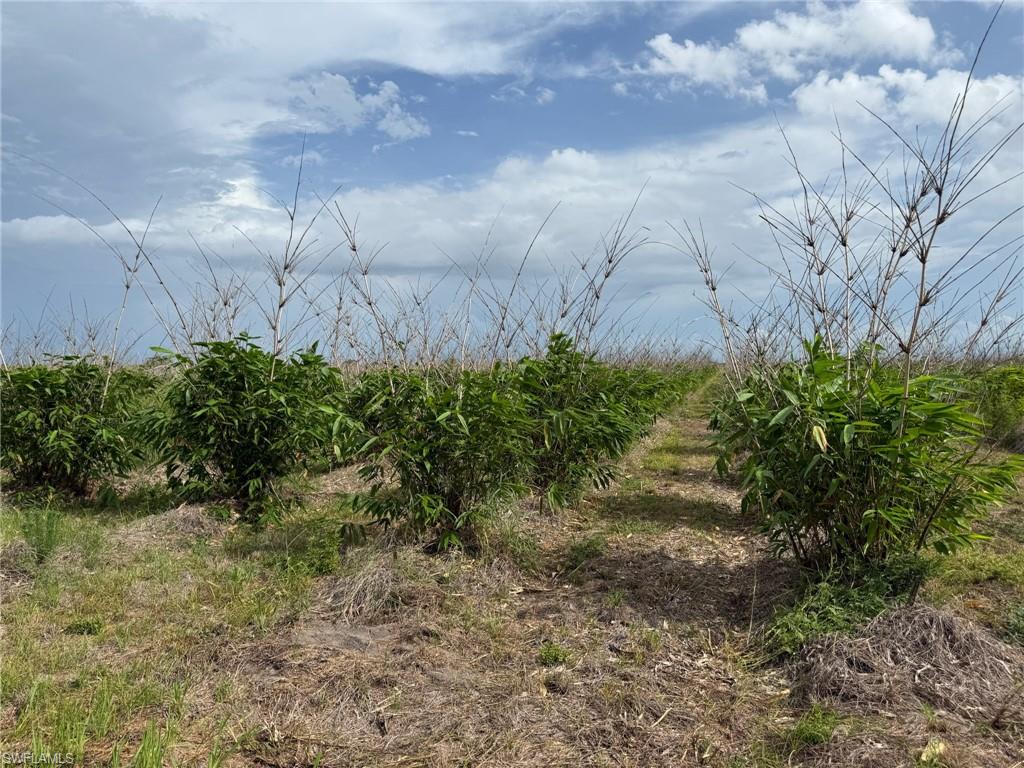 GERBER GROVES SEC 1 - Land