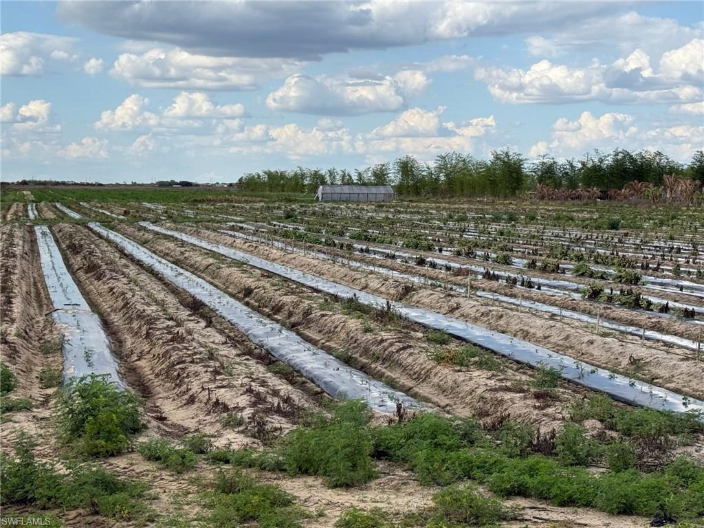 GERBER GROVES SEC 2 - Land