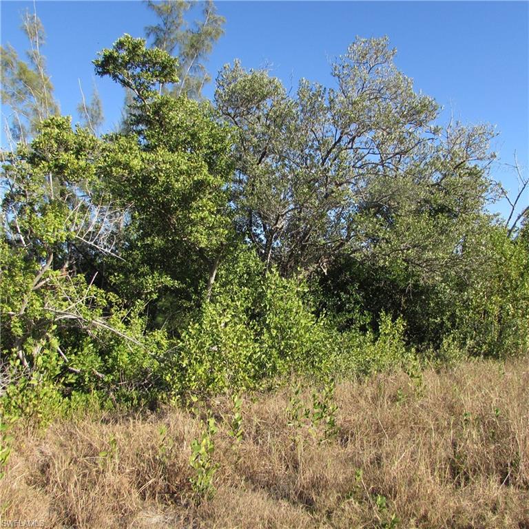 METES AND BOUNDS - Land