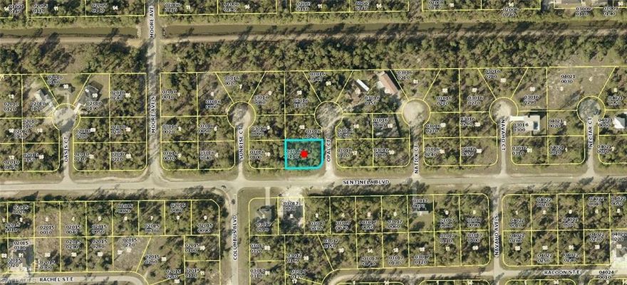 An exciting opportunity awaits in this growing area! Be part of a vibrant community where new construction is booming. This prime location puts you close to fantastic golf, shopping, and dining options. Enjoy the added perk of being just a short drive from Fort Myers and Punta Gorda airports, two major spring training destinations, and sun-drenched beaches!