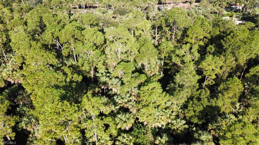 GOLDEN GATE ESTATES - Land