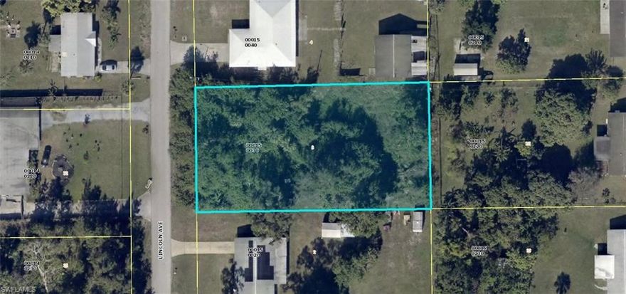 Build your dream home here! Central water available. Just off of Leeland Heights and Joel Blvd.  Easy access to shopping, schools, churches, parks and beaches.  Just a short drive to Fort Myers Airport, baseball parks, hockey rink and the Beaches.  Come enjoy all Sunny SW Florida has to offer.