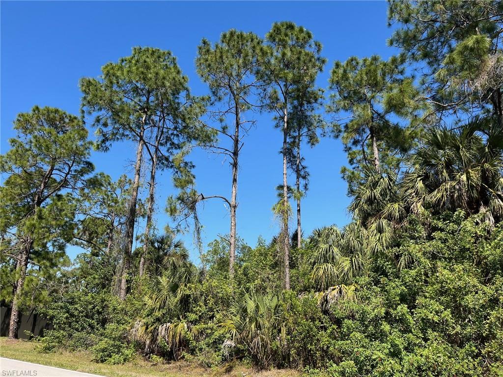 GOLDEN GATE ESTATES - Land