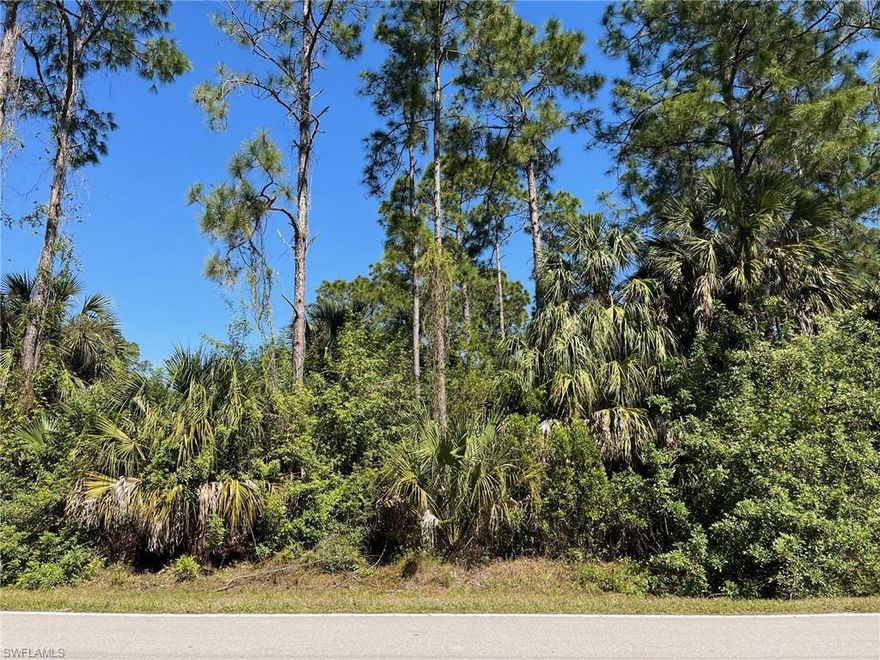 Uplands 100% per the 2024 TEC Wetland Determination attached. Enjoy the peaceful, country lifestyle of Golden Gate Estates, just minutes from the splendor and beautiful beaches of Naples, Florida. Build the home of your dreams on this wonderful, 1.14 acre lot with beautiful tall pines. Zoning allows 2 horses per acre. Very desirable area off Randall Blvd. Location very convenient to schools, shopping and the fabulous new Big Corkscrew Island Regional Park. Will also be only a few blocks from the Vanderbilt Beach Rd Extension once it reaches 16th St NE.