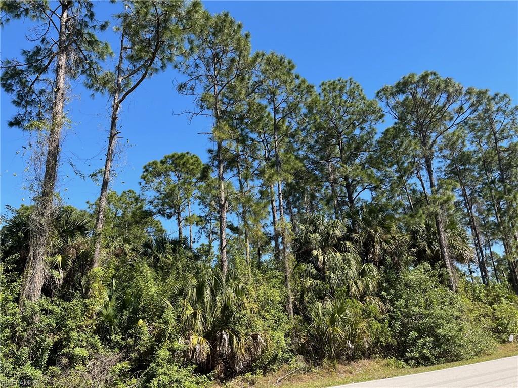 GOLDEN GATE ESTATES - Land