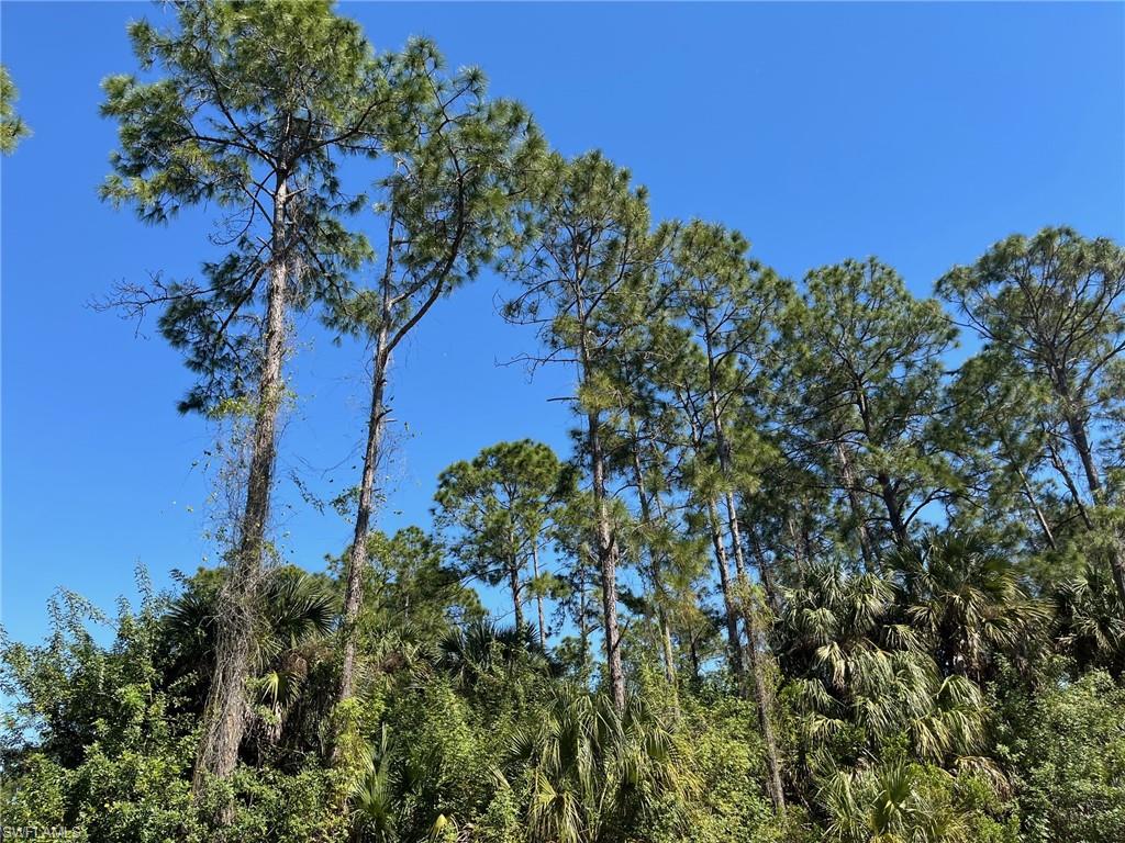 GOLDEN GATE ESTATES - Land