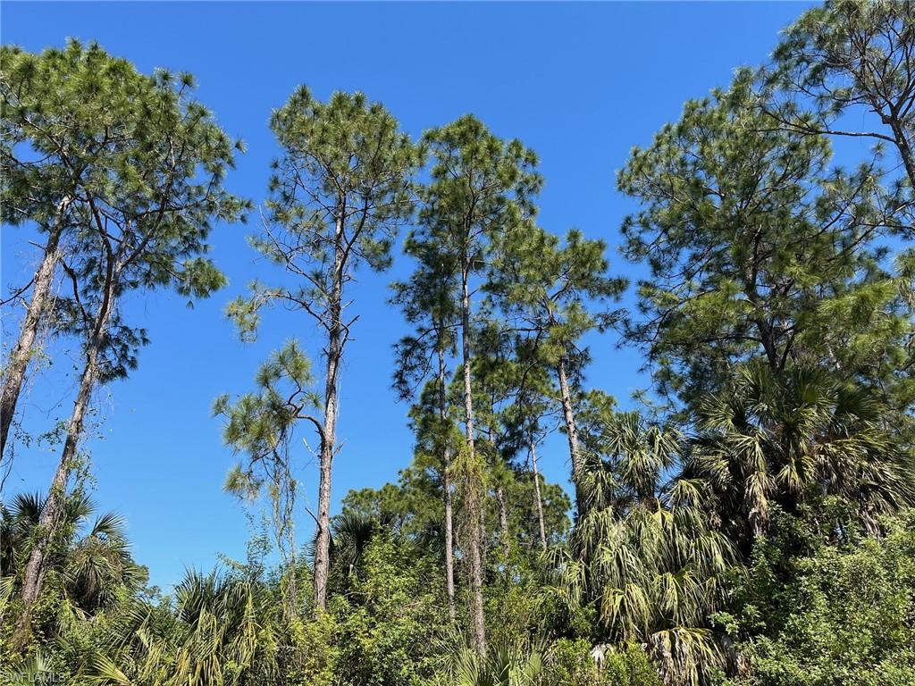 GOLDEN GATE ESTATES - Land