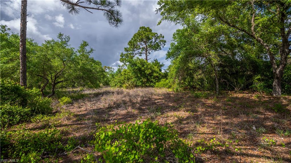 WHEELERS SUBD - Land