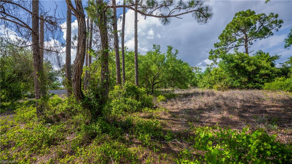 WHEELERS SUBD - Land