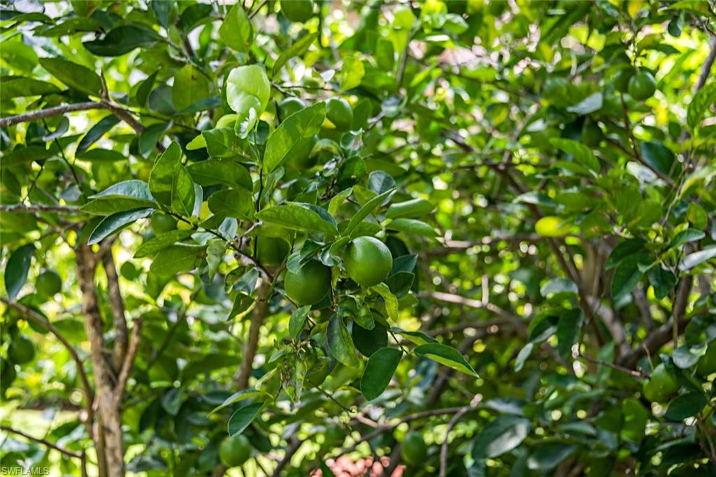 PADOVA - Residential