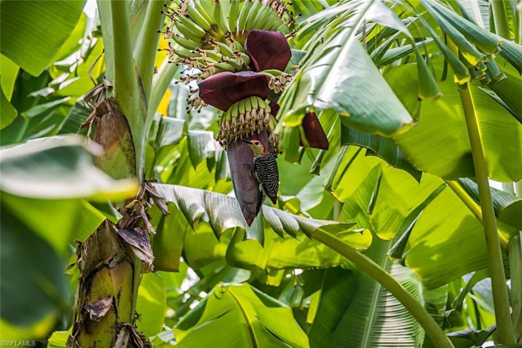 PADOVA - Residential