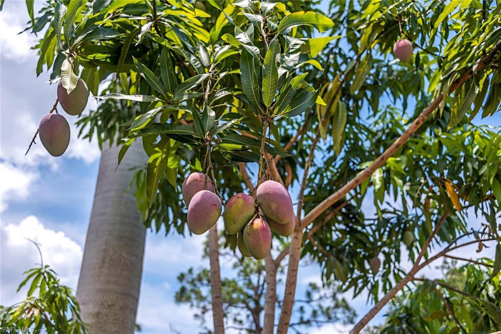 PADOVA - Residential