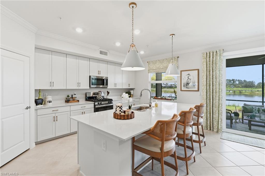 43258 Water Bird WAY 6011