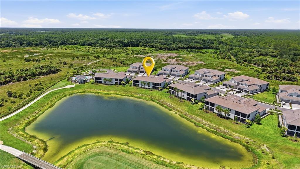 43258 Water Bird WAY 6011