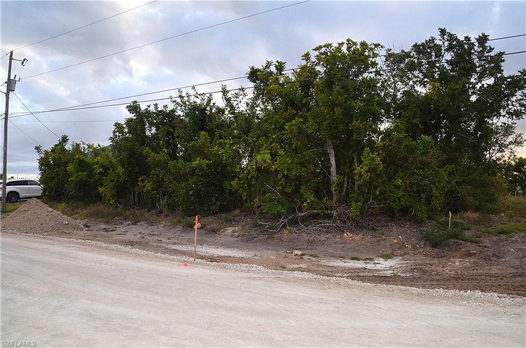 CAPE CORAL - Land