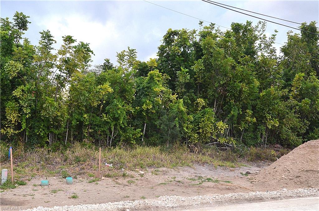 CAPE CORAL - Land