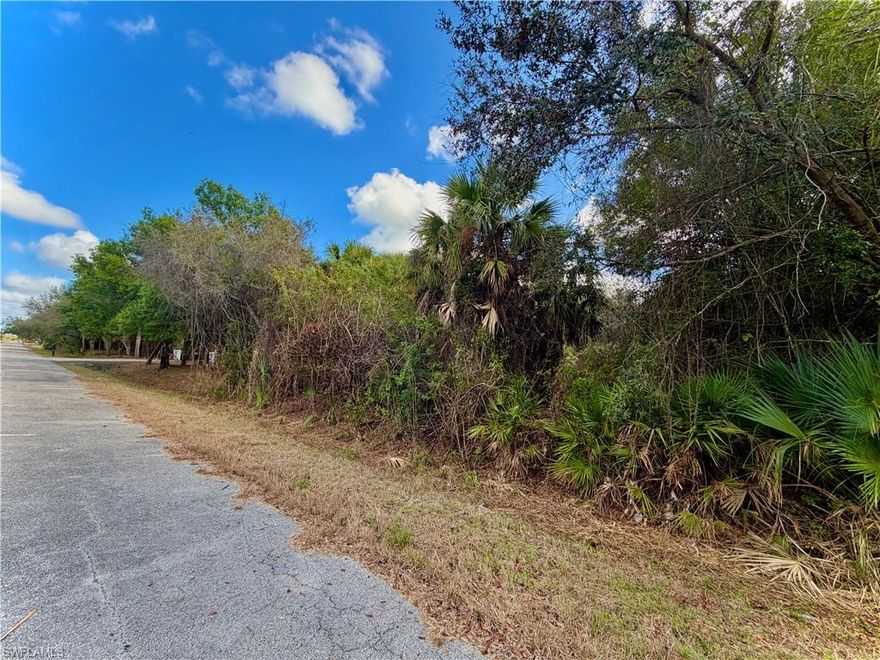 GREAT LOCATION on a HALF ACRE located on a quiet DEAD END paved street with utilities available just minutes from major amenities, and a quick commute in Fort Myers. Come build your DREAM HOME or INVEST today!