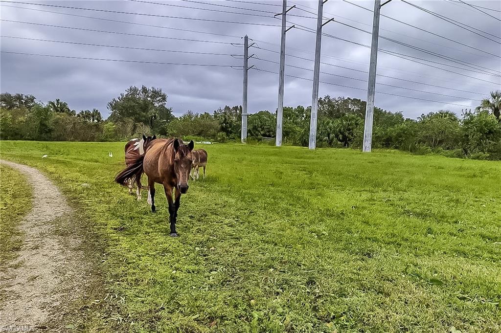 BONITA FARMS - Residential