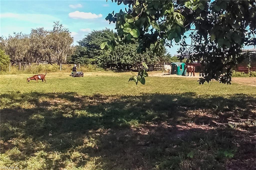 BONITA FARMS - Residential