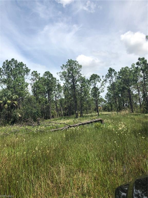 GOLDEN GATE ESTATES - Land