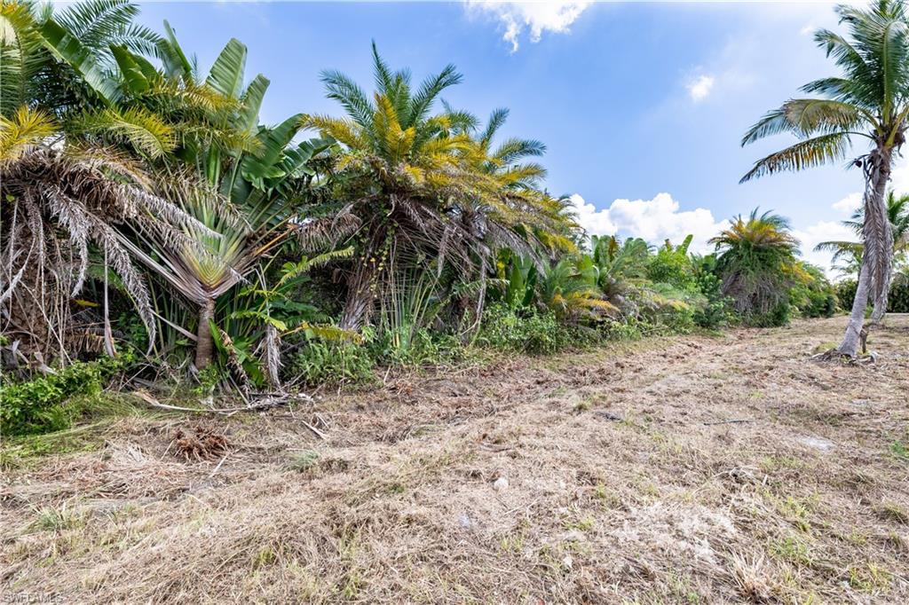 METES AND BOUNDS - Land