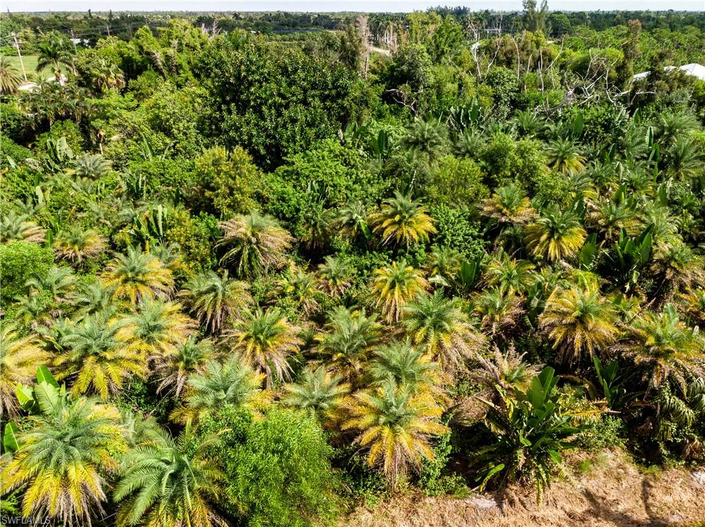 METES AND BOUNDS - Land