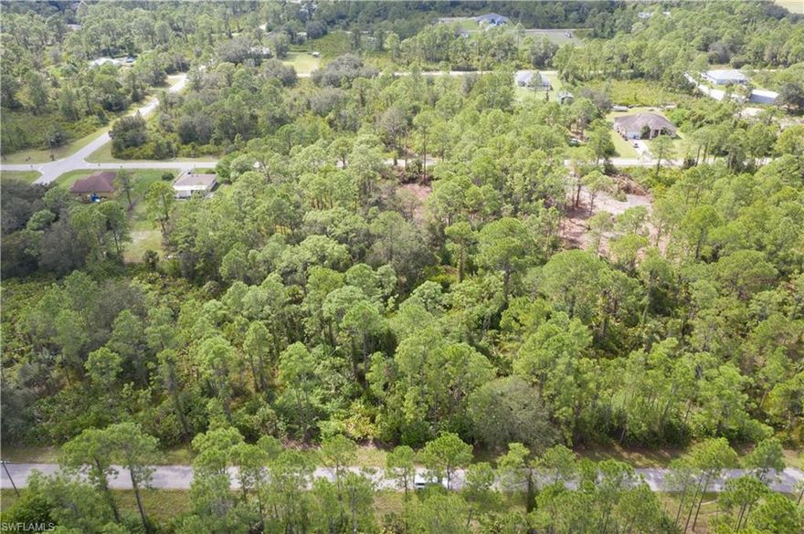 LOOK NO FURTHER! The perfect lot to build your dream home on is located right here at 2107 Louis Ave in beautiful Alva, FL. Just close enough to shopping and all the necessities to maintain convenience while being far enough away on a half-acre lot to built the serene oasis of your dreams! Call today, you don't want to miss out on this property!