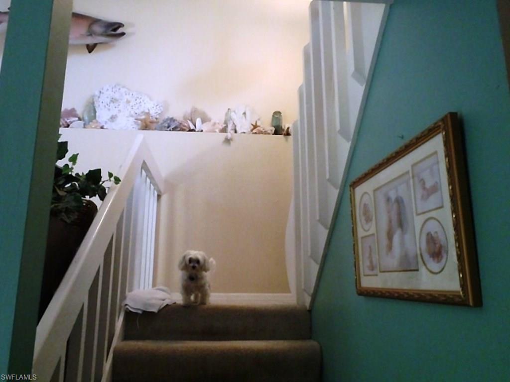 CYPRESS KEEP CONDO - Residential