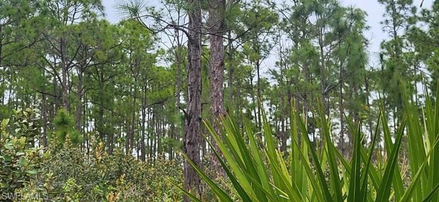 This lovely wooded lot is being sold along with the lot next to it  (27274) for more space and comfort and seclusion for yourself or your loved ones. It is conveniently located near 41 and Del Prado with quick routes to either Punta Gorda, Cape Coral or Fort Myers, or I-75. It is on a paved road county maintained with a few neighbors already building nearby. The rest of the street is wooded land unbuilt. It is zoned single family residential so you can rest assured on the family or neighborhood feeling.