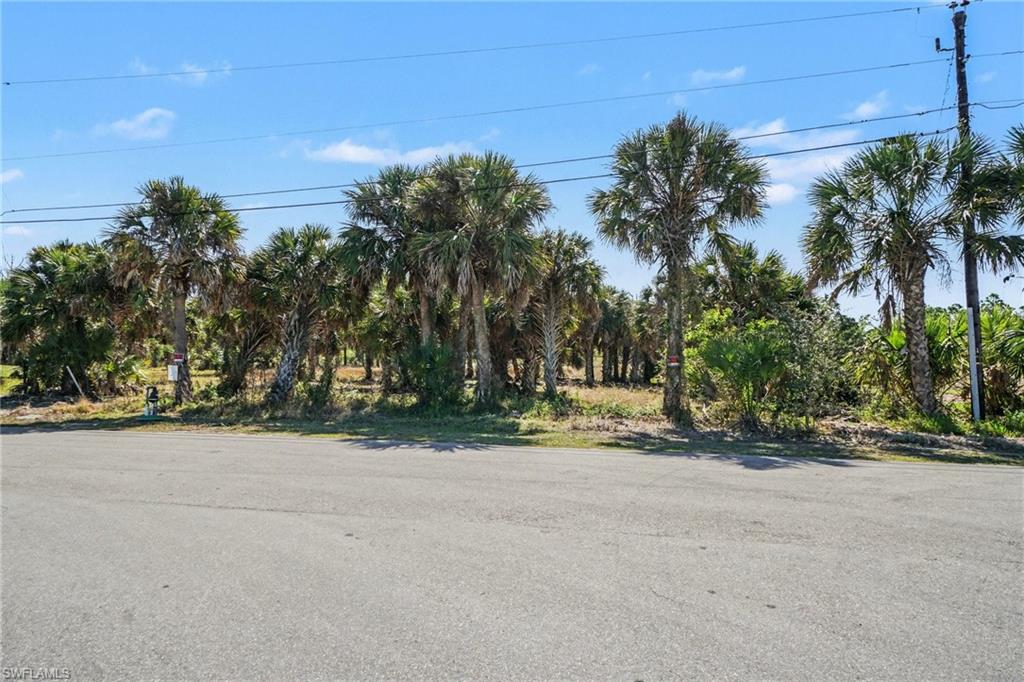 PIRATE HARBOR - Land