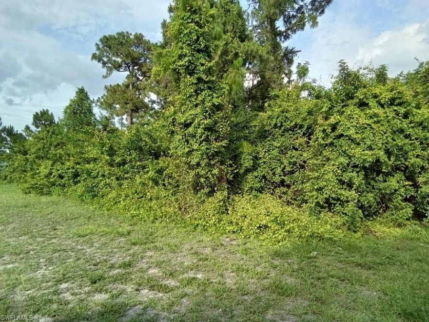 Duplex Lot in LEHIGH ACRES for an incredible opportunity to invest! Come build an income-producing duplex on this well-located duplex lot with electricity available on-site, near to almost everything you may want or need as schools, shopping, restaurants, medical facilities etc. The seller has multiple lots available for sale individually or as a package. Come and enjoy all Sunny South West Florida has to offer. Look no more this lot is priced to sell and wont last. Coordinates: 26.6113949, -81.7550354 Site Address: 5320 29th St SW, Lehigh Acres, FL 33973, USA - Lot Size: .28 - Lot Dimensions: 96 X 125 - Sq. Ft.: 12,196.80 - County: LEE - Paved: YES - Electricity: YES - Water: NO - Sewer: NO - Covenants, Restrictions, and Association Dues: None - Title: Free and Clear (no liens or unpaid taxes)