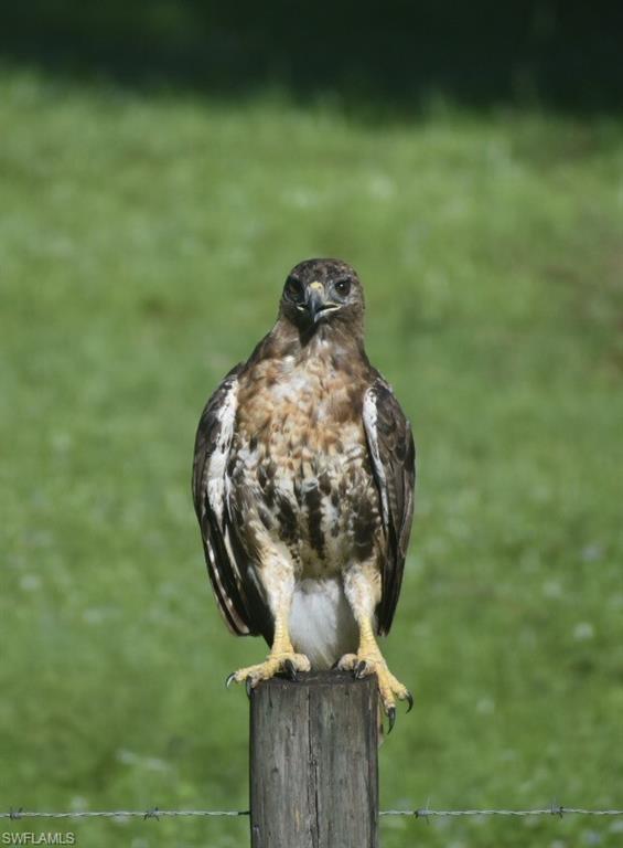 ACREAGE HEADER - Residential