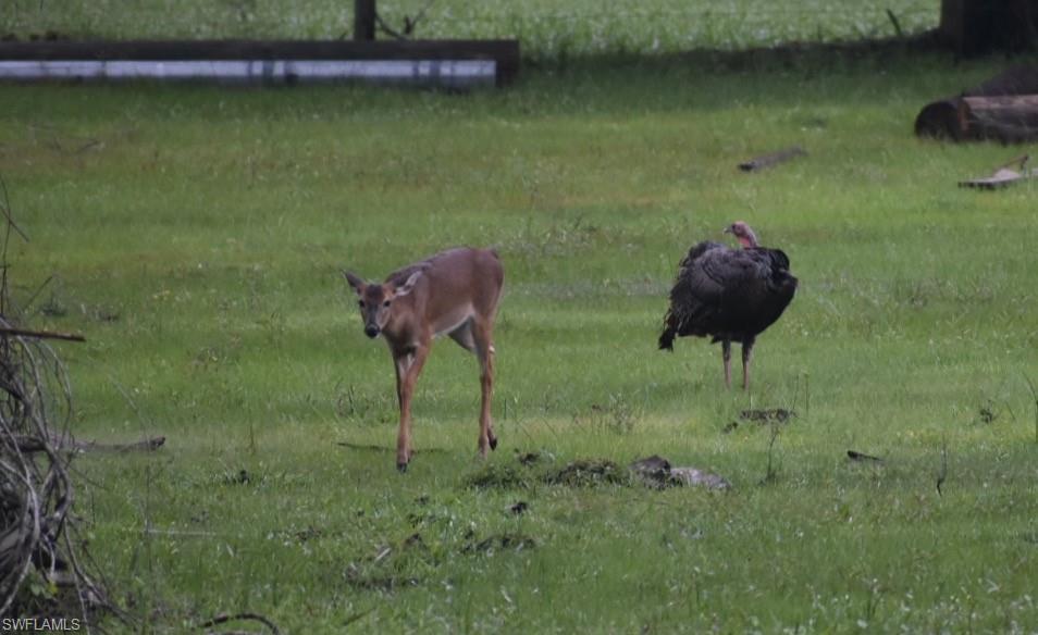 ACREAGE HEADER - Residential