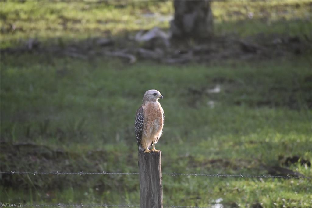 ACREAGE HEADER - Residential