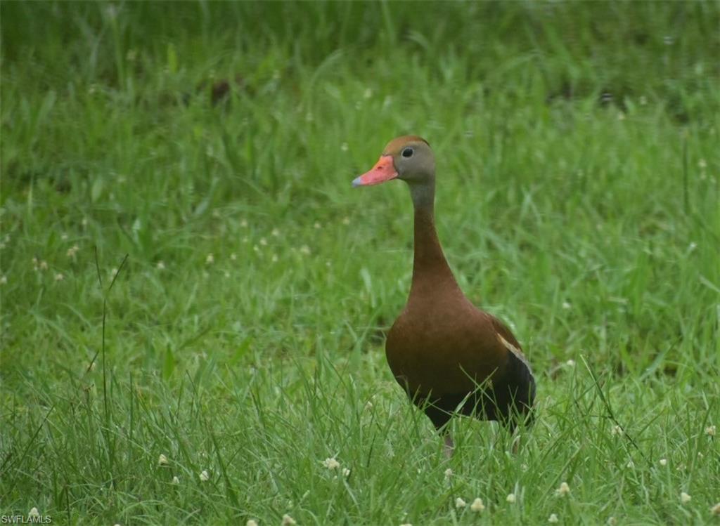 ACREAGE HEADER - Residential