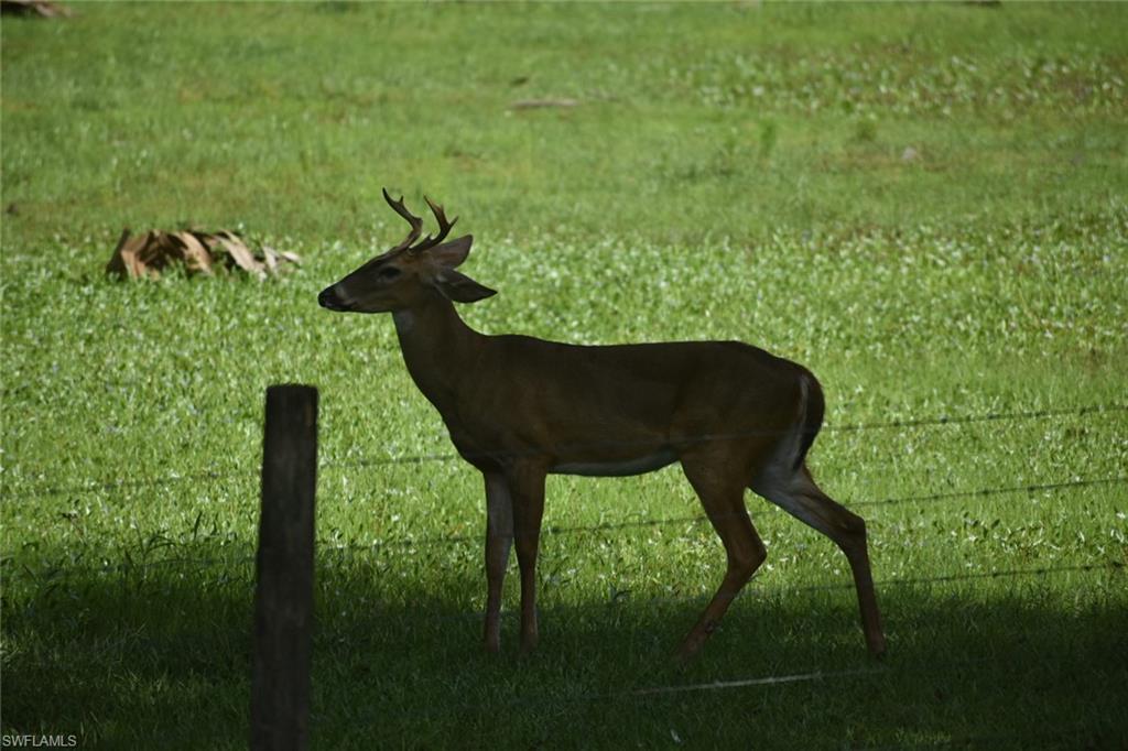 ACREAGE HEADER - Residential