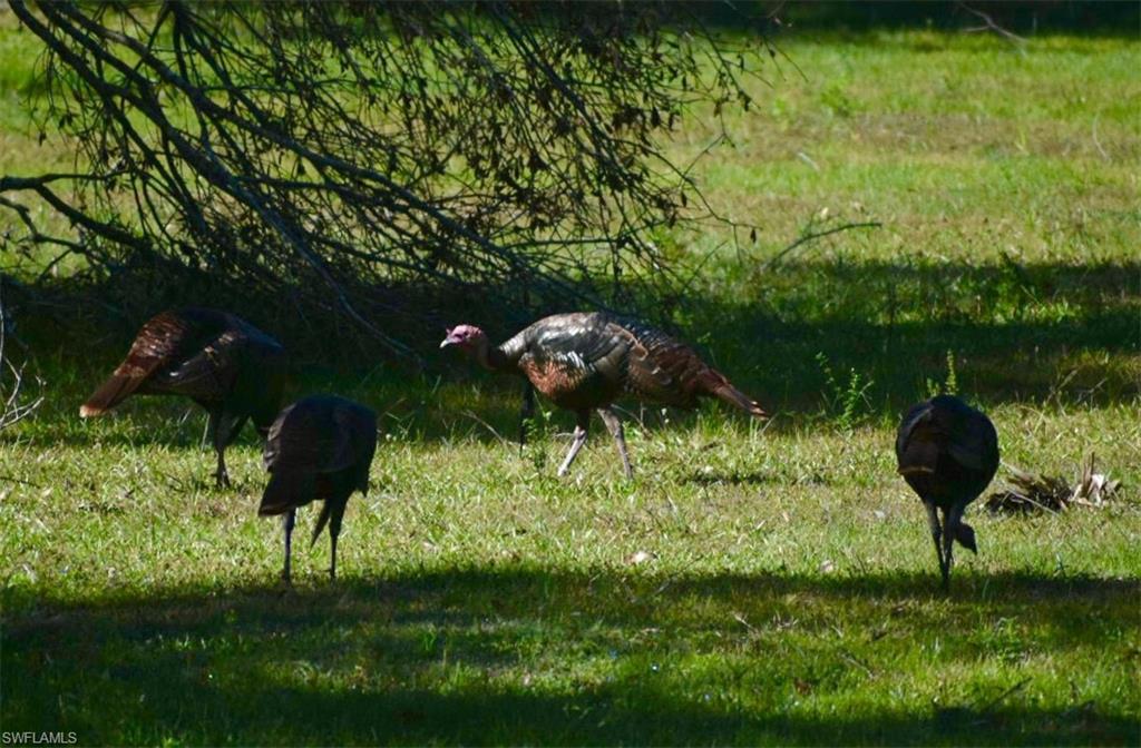 ACREAGE HEADER - Residential