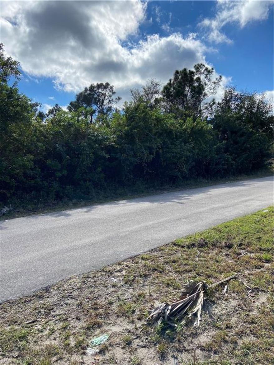 Welcome all investors and builders this is a great lot centrally located in the heart of Lehigh Acres.  Right off  state Rd 82. New home getting built down the street. Great time to buy. Don't miss out!!