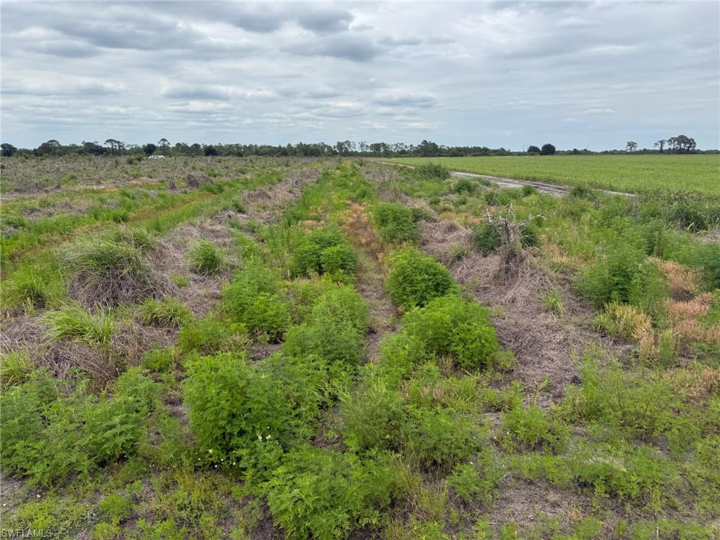 GERBER GROVES SEC 2 - Land