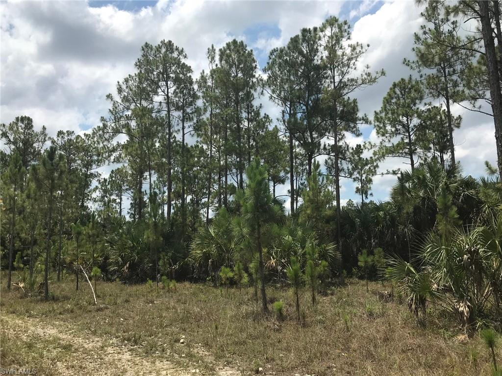 GOLDEN GATE ESTATES - Land