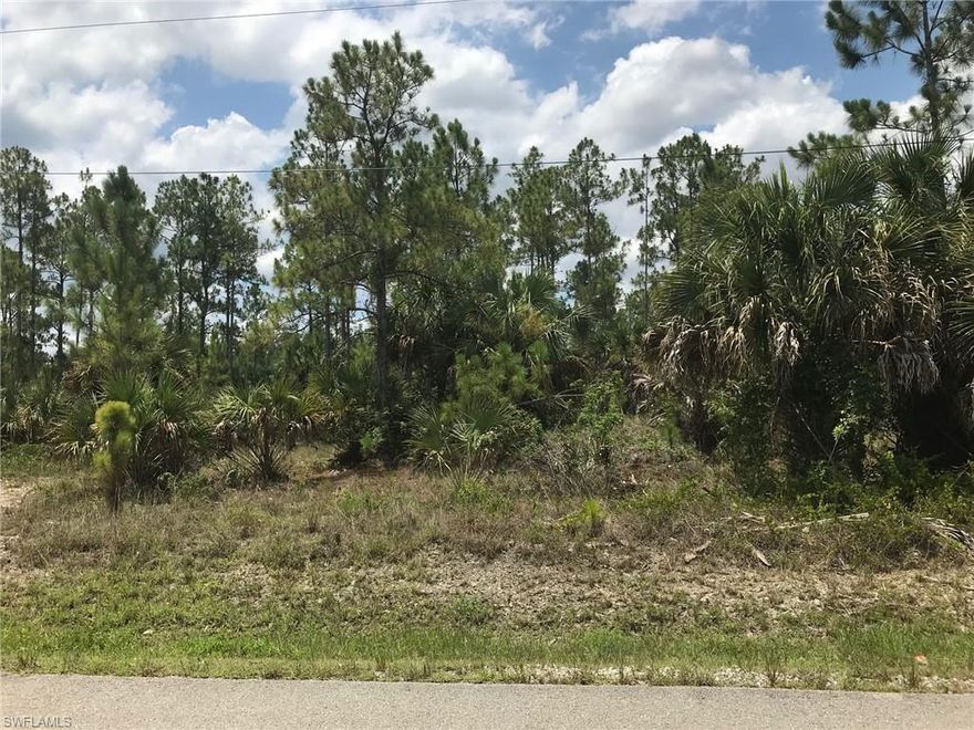 Uplands 100% per the 2022 TEC Wetland Determination attached. Enjoy the peaceful, country lifestyle of Golden Gate Estates, just minutes from the splendor and beautiful beaches of Naples, Florida. Build the home of your dreams on this wonderful 2.38 acre, southern exposure, pine covered, canal-front lot. Zoning allows 2 horses per acre.