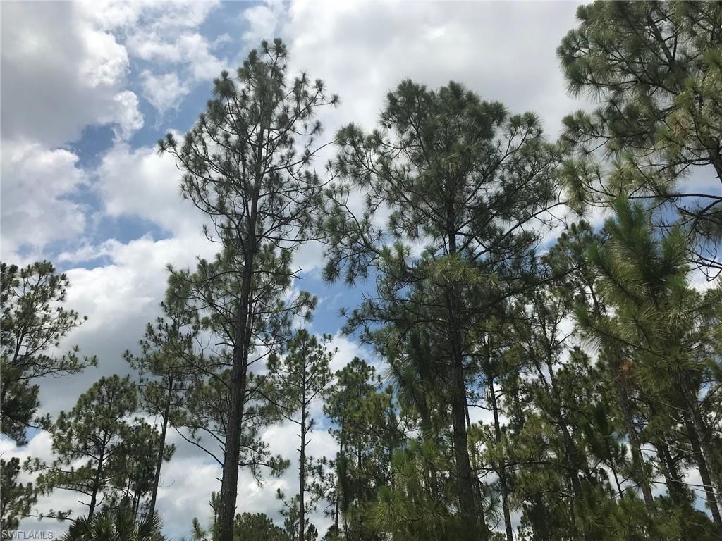 GOLDEN GATE ESTATES - Land