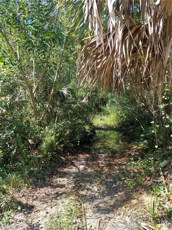 GOLDEN GATE ESTATES - Land