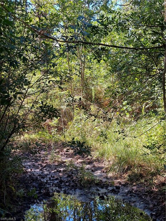 GOLDEN GATE ESTATES - Land