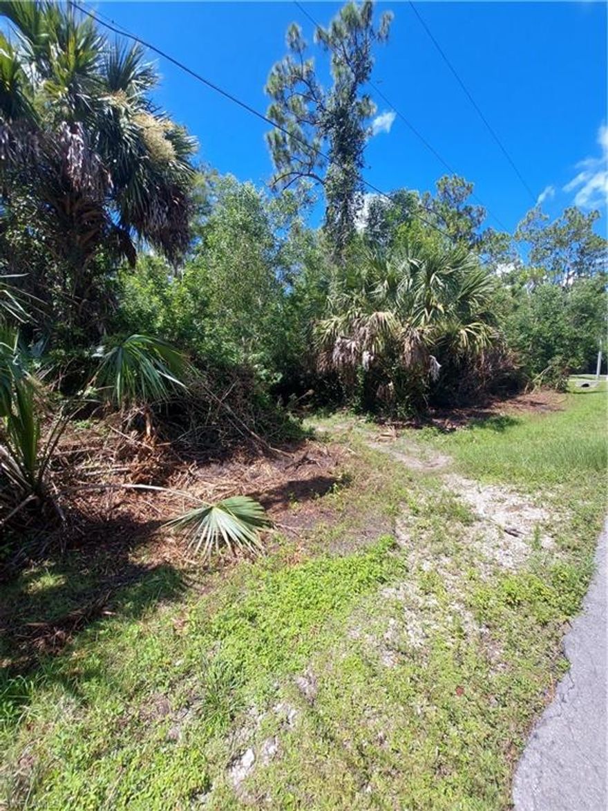BUILD your new home here! Surrounded on a street with lots of homes. This 1.59 Acre "partial wetland" Lot has a area open and dry to build your home. The front Drive needs a permit to build driveway. This area is surrounded with many homes and central location just off Everglades Blvd. South. Property priced accordingly to allow the buyer the opportunity to build and offset cost for driveway permit and backyard fill. A local builder has determined they can build on this lot and will help with driveway permit and backfill needs.  Agent has wetland determination report.
Grab this opportunity to build at an affordable costs as land values are rising quickly. CLICK VIDEO TOUR ATTACHED.