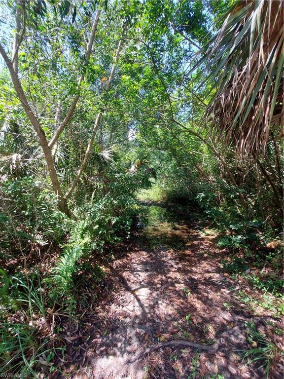 GOLDEN GATE ESTATES - Land