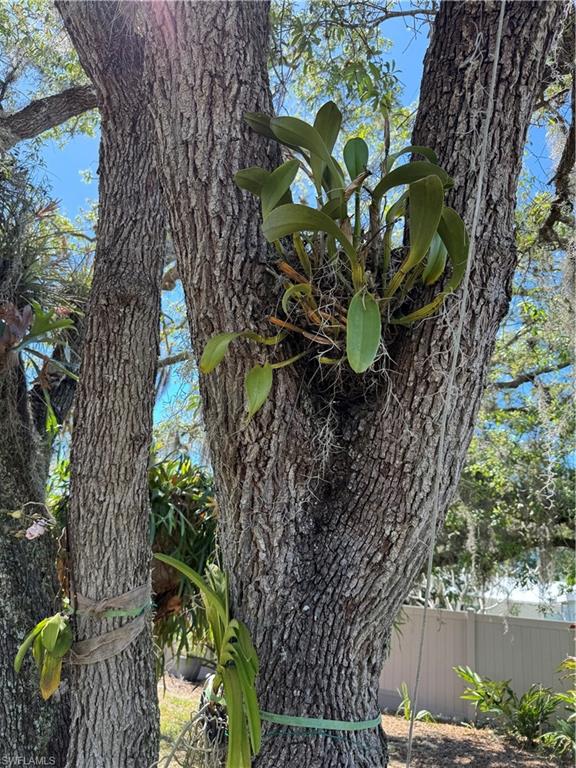 BONITA SPRINGS - Residential