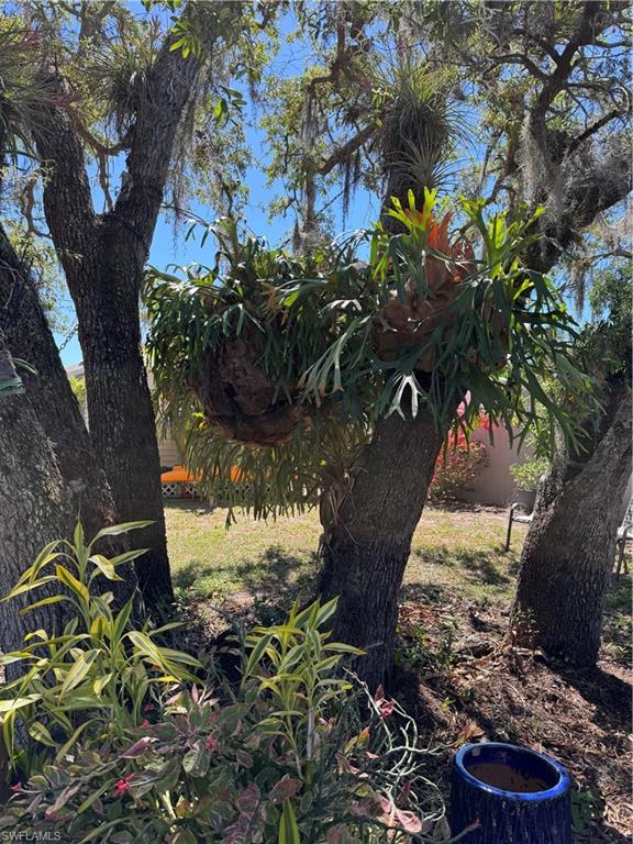 BONITA SPRINGS - Residential