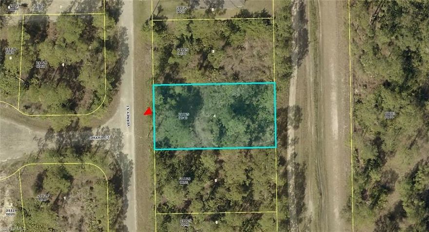 Build your dream home on this spacious quarter-acre vacant lot. located in a growing area of Lehigh Acres. Great opportunity for homeowners or investors. The adjacent lot is available for sale from the same owner. You can own side-by-side lots and have a half-acre lot.